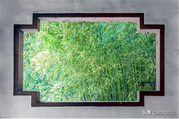 描写竹林的句子