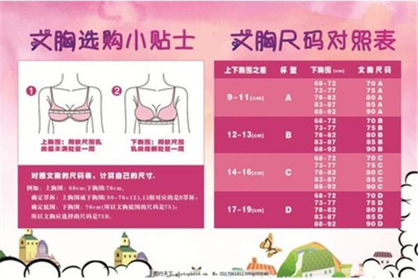买文胸怎么选尺码