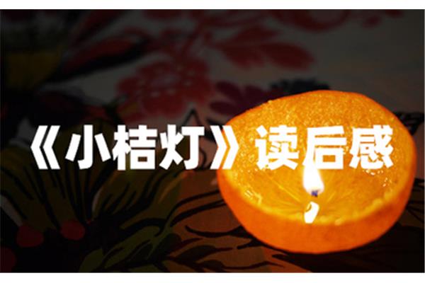 新的表读后感