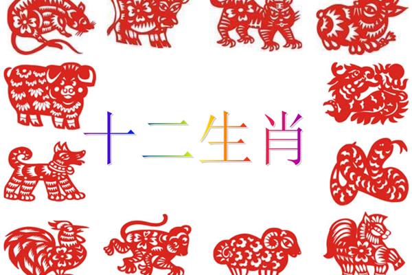 与生肖有关的成语