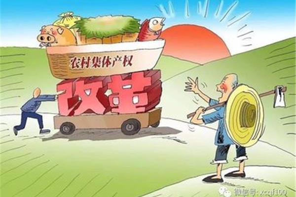 农村政策法规