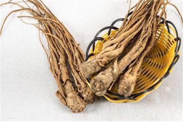 黄芪一次吃多少克