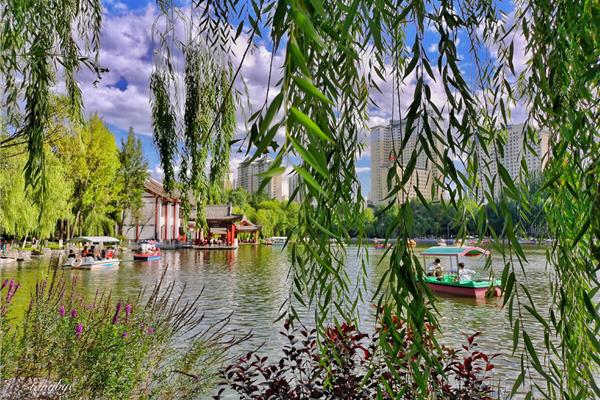 夏天的美景