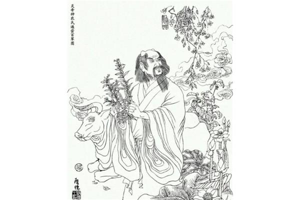 神农尝百草