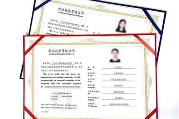 技术等级证书