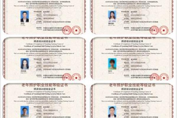 技术等级证书