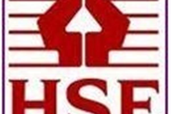 hse是什么意思