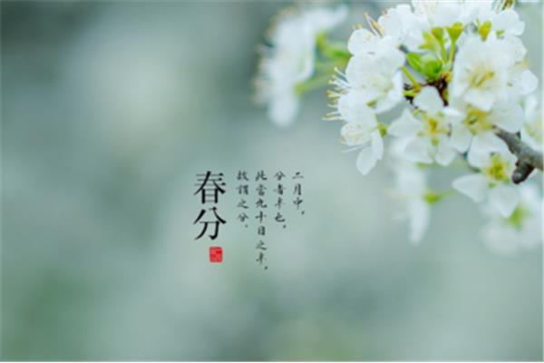春分的诗句
