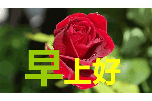 早上问候语大全