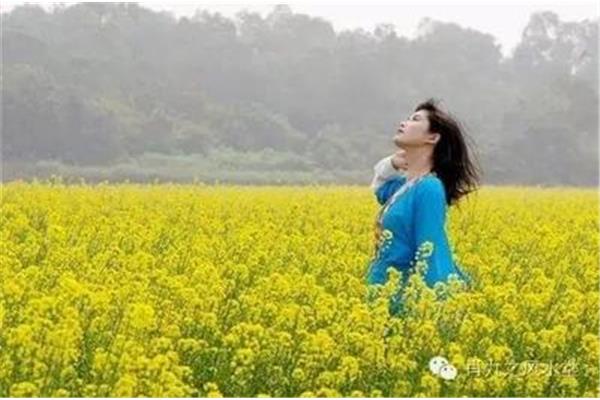 什么风送爽
