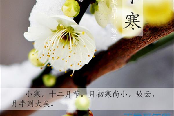 月半是什么时候