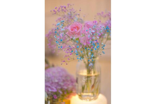 《花语大全》