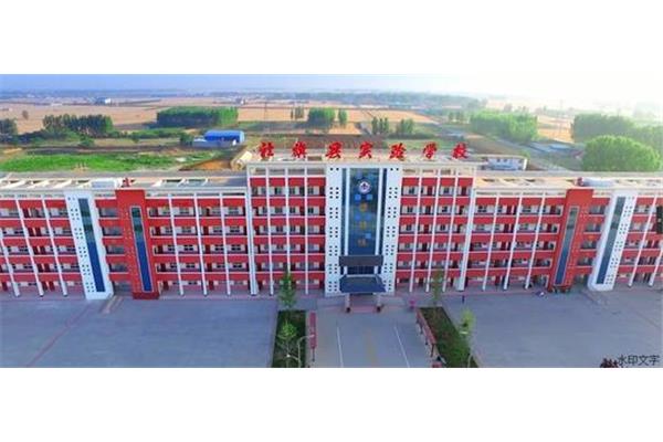 标准化学校