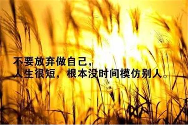 正能量的说说