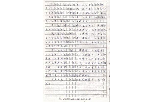 一件事情的作文