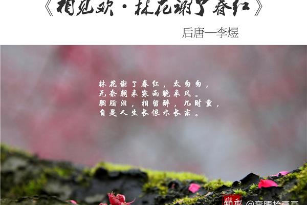 相见欢原文