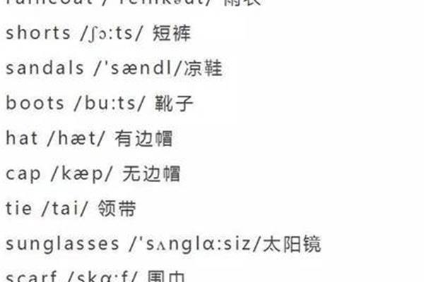 雨衣的英语单词