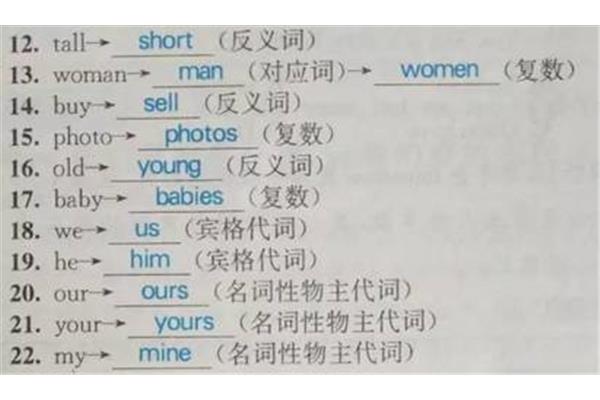 tall的对应词