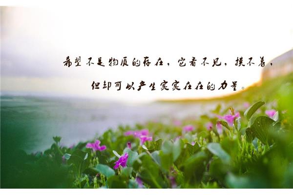 正能量的说说
