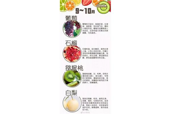 水果的营养价值