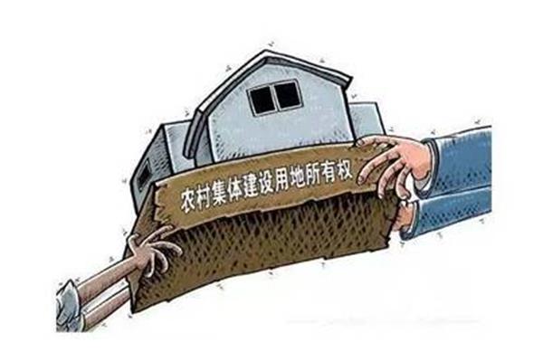 集体所有权