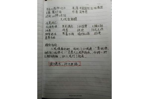 摘抄加感悟