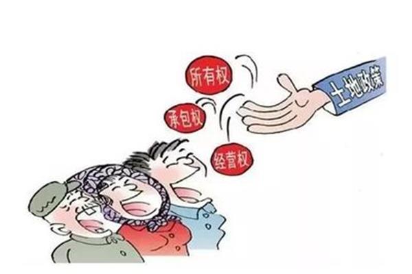 集体所有权