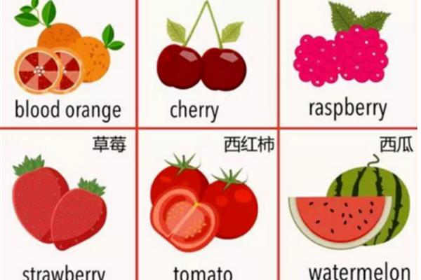 水果的单词