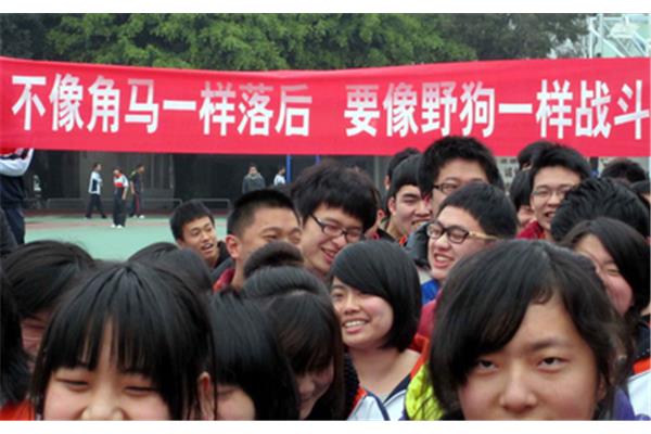 打鸡血的励志名言