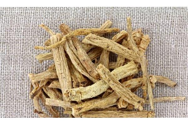 黄芪一次吃多少克
