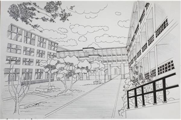 我的校园绘画