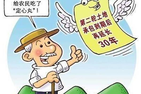 农村政策法规