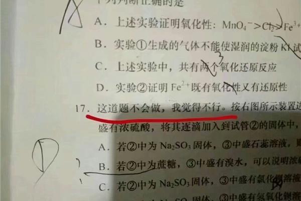 题目是什么