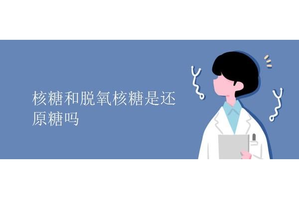 半乳糖是还原糖吗