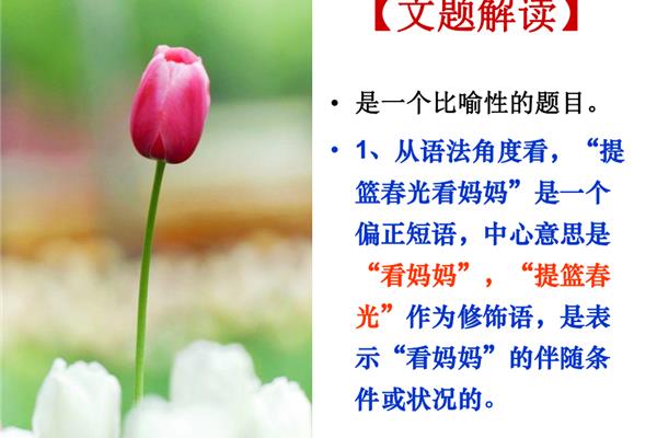 提篮春光看妈妈