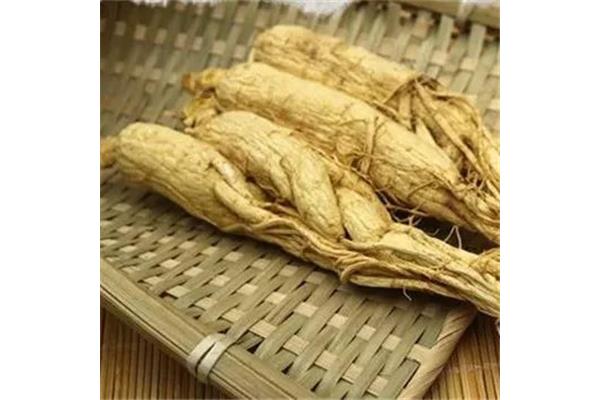 黄芪一次吃多少克
