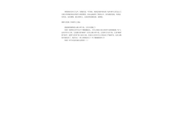 牵牛花的作文