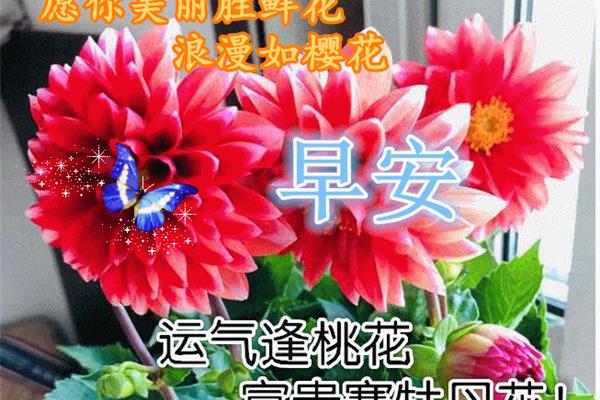 早上问候语大全