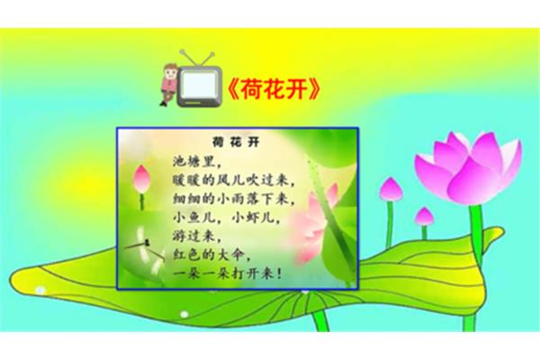 荷叶是我的什么