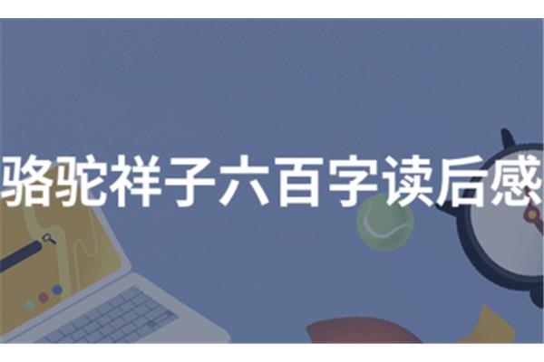 骆驼祥子多少字