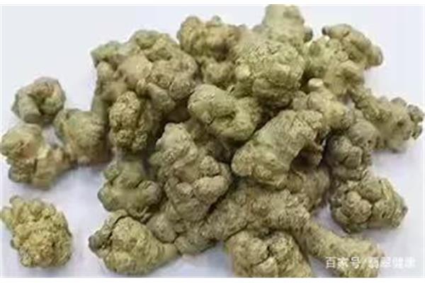 金不换是什么意思