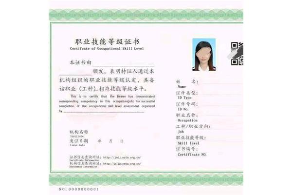 技术等级证书