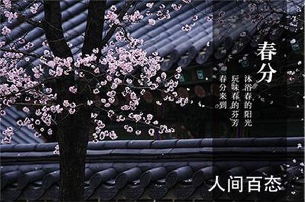 春分的诗句