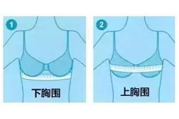 买文胸怎么选尺码