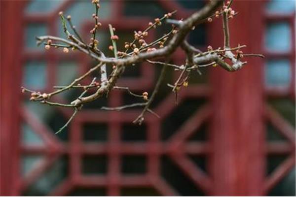 古诗《易水歌》