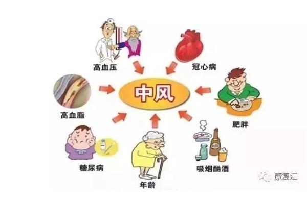 什么是血压