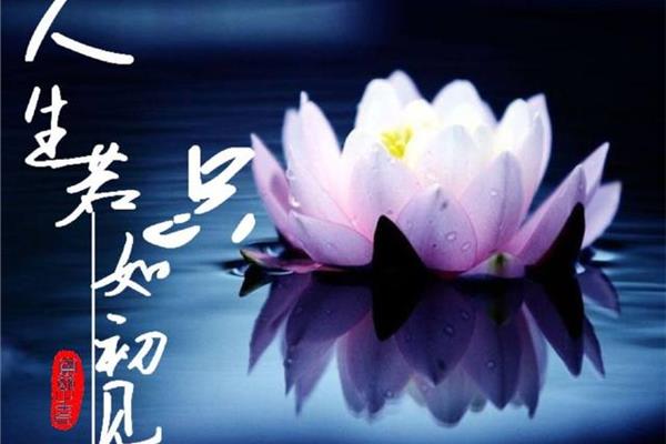人生若是如初见