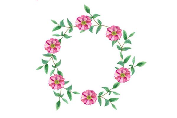 美丽的花环