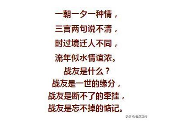 战友情经典句子