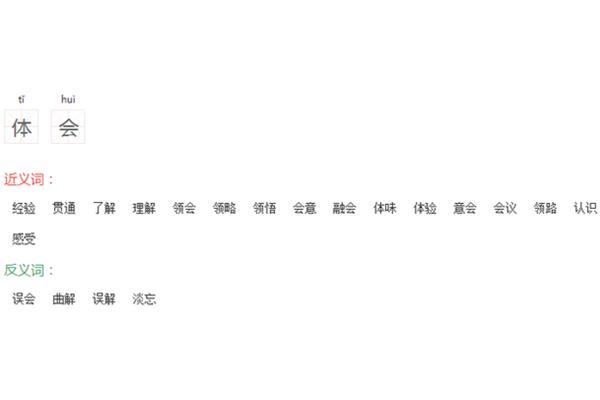 领悟的近义词